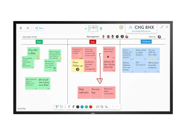 NEC MultiSync® M551 IGB