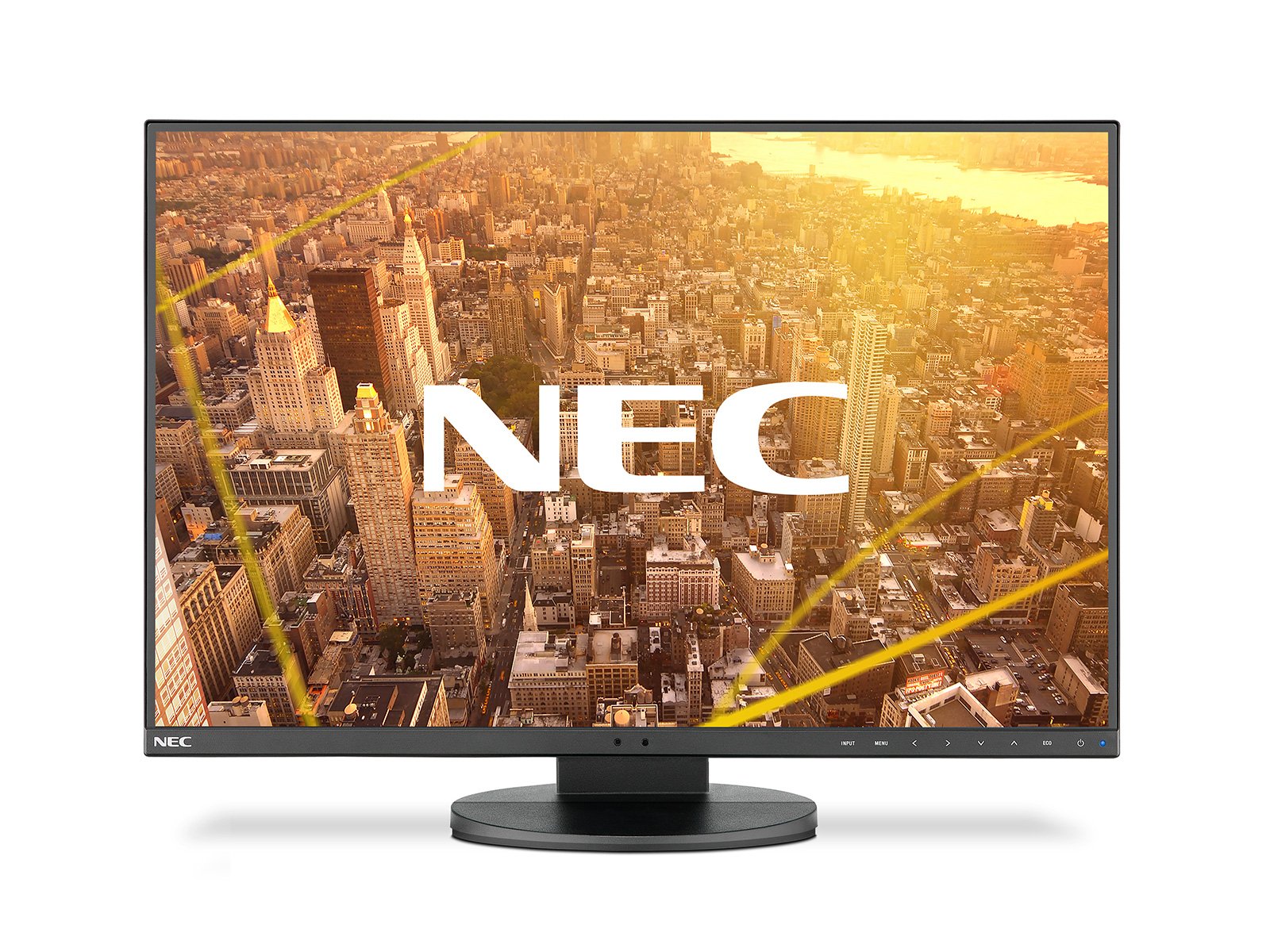 NEC MultiSync<sup>®</sup> EA241F