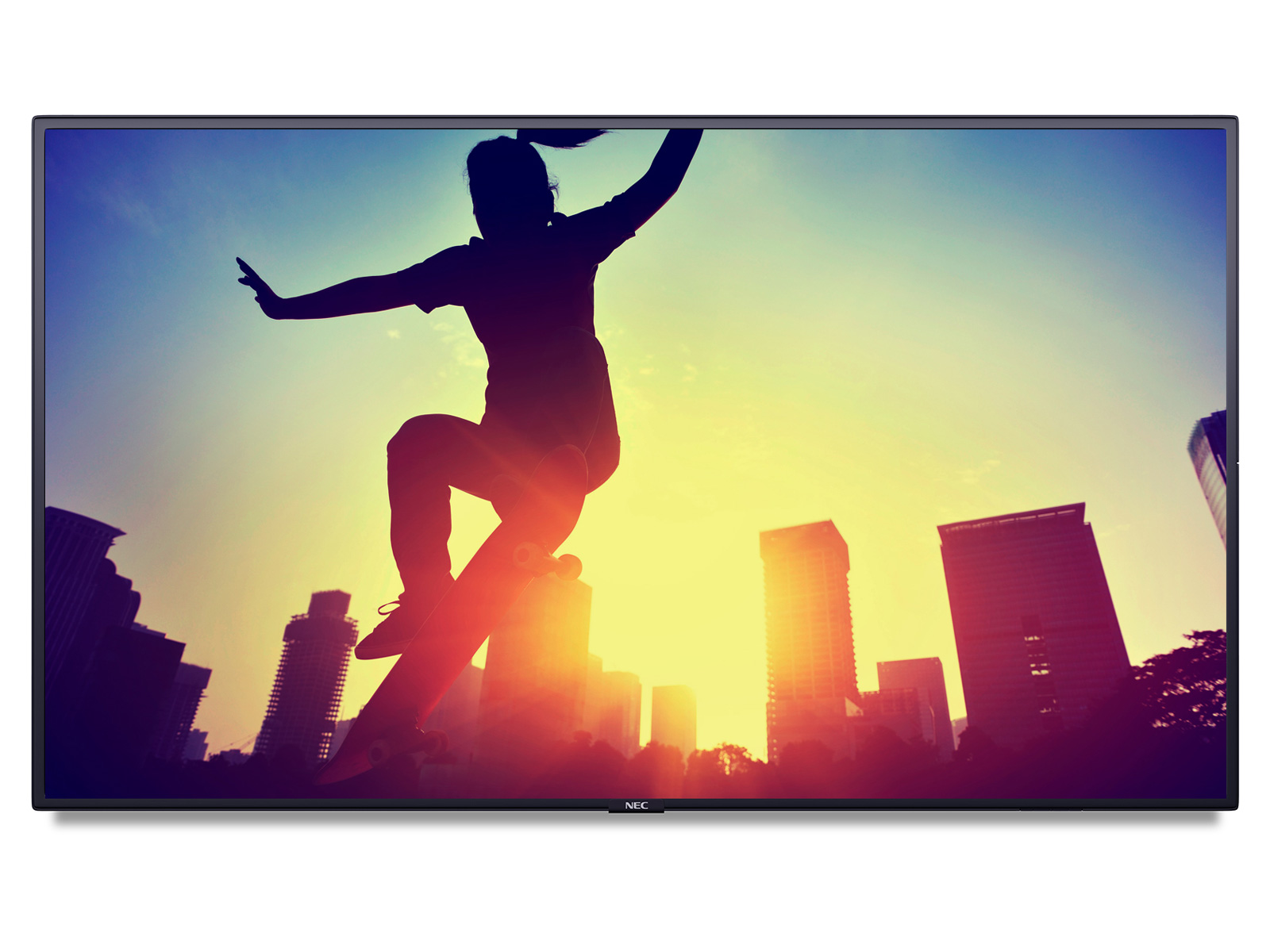 NEC MultiSync<sup>®</sup> V404