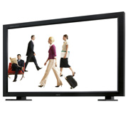 NEC MultiSync<sup>®</sup> LCD4610