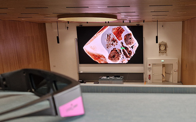 Medical University of Graz