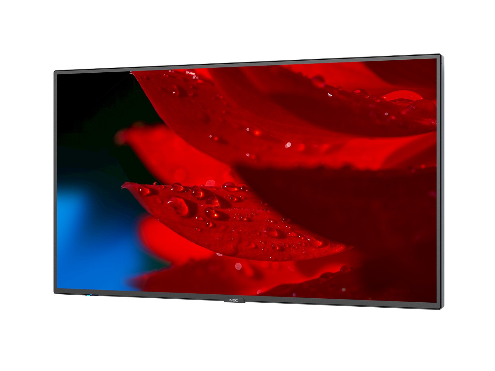 NEC_MA-Series_Angle_Left_content__1600x1200