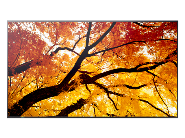 Sharp MultiSync® M652