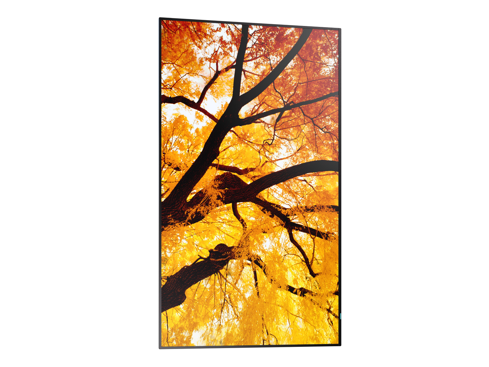 Sharp_M2_65_Left_Portrait_Content_B