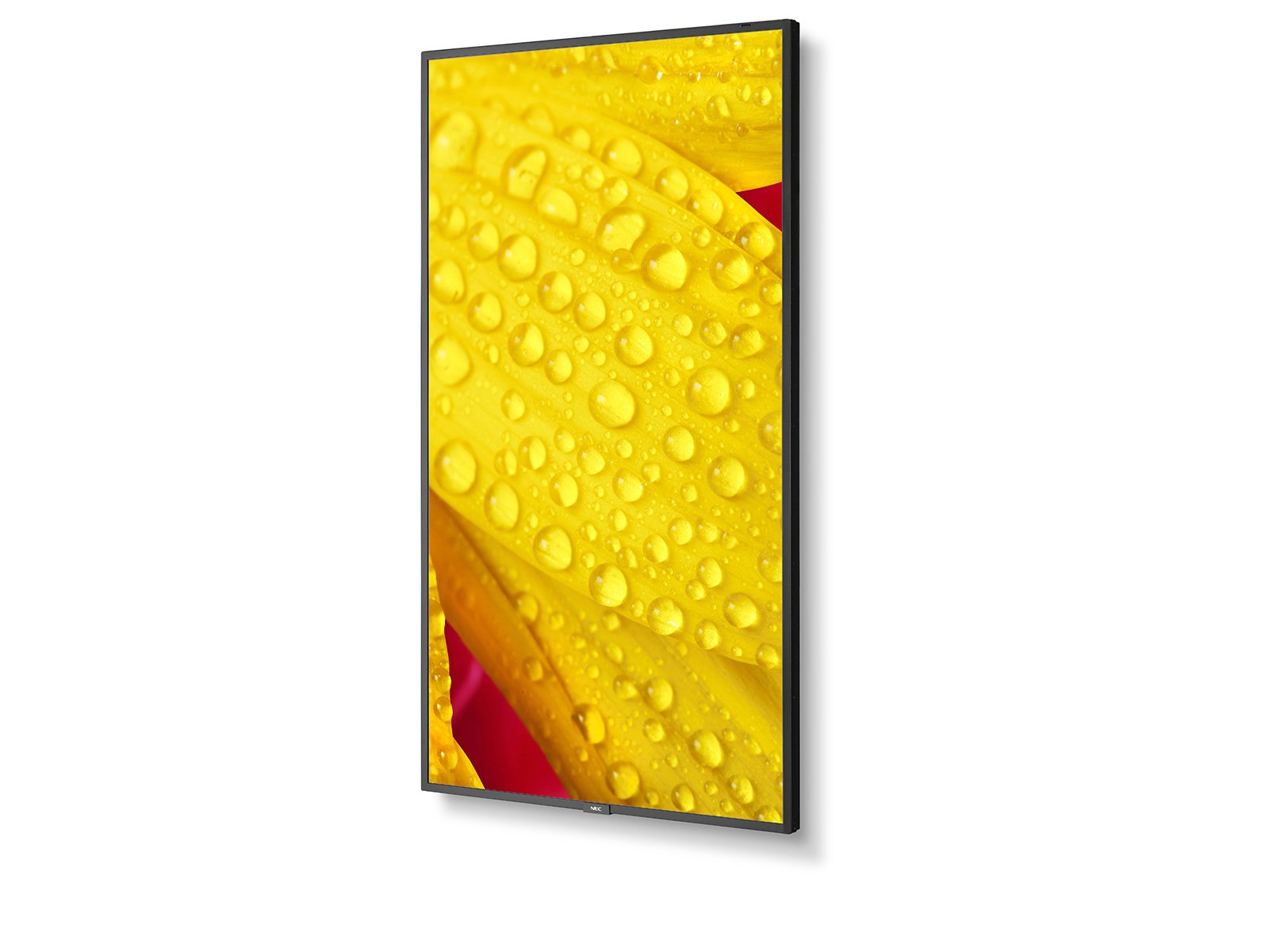 NEC_ME-Series_portrait_left_content_1600x1200