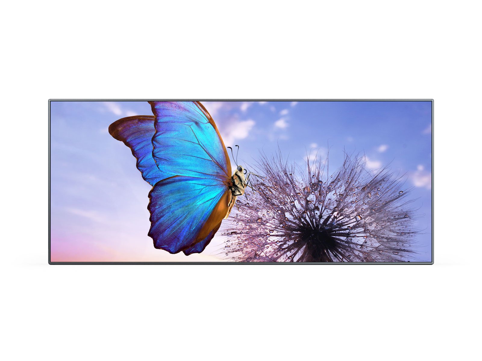 SharpNEC_FE_Series_Bundle_4x3_Front_Content